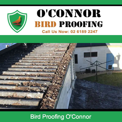 Bird Proofing bird nesting prevention for gutters and rooflines in O'Connor